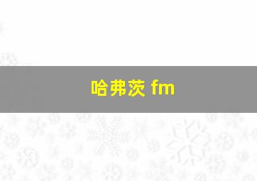 哈弗茨 fm